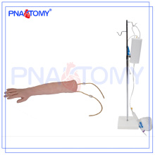Modelo de brazo de entrenamiento IV humano PNT-TA001